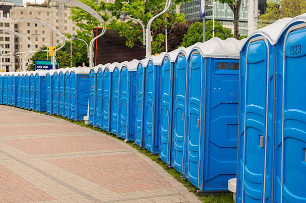 Best Short-Term Portable Toilet Rental  in Waupun, WI